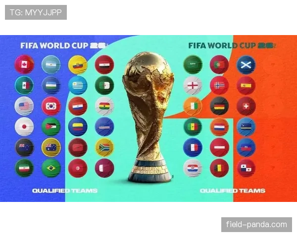 2026世界杯48支球队如何分组晋级淘汰赛