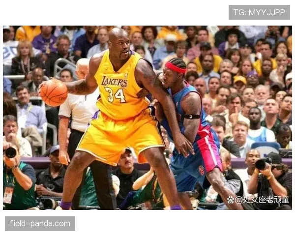 篮球新手须知:如何正确理解和应用NBA防守三秒规则 篮球新手须知:如何正确理解和应用NBA防守三秒规则