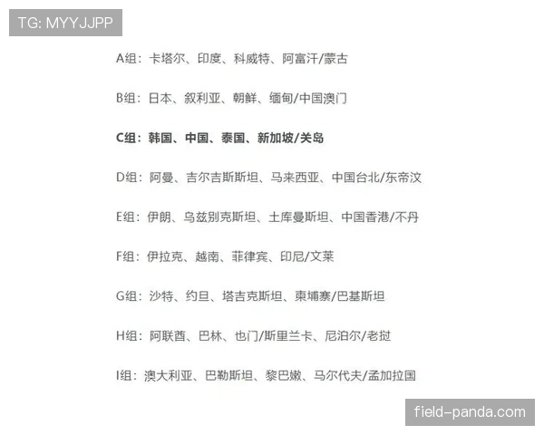 伊拉克队冲击2026美加墨世界杯预选赛关键战赛程全解析