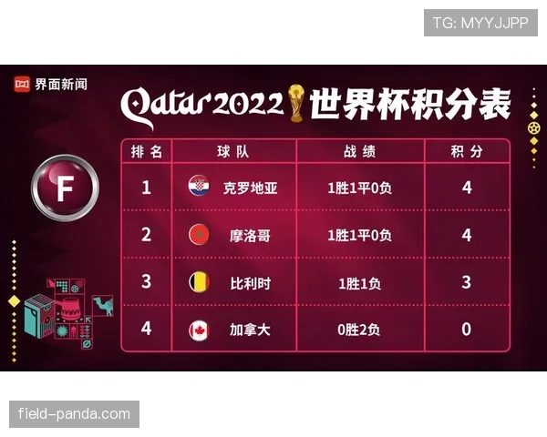 瑞士队2026世界杯小组赛赛程预测及出线形势分析