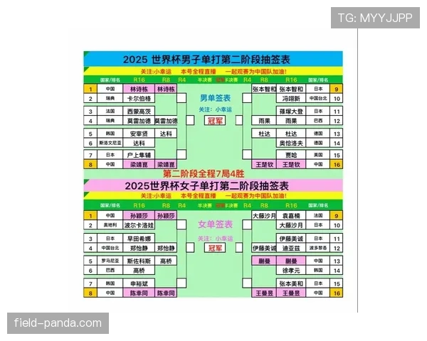 世界杯K组赛果模拟预测