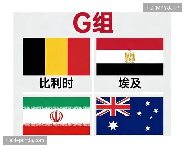埃及1-1伊朗:世界杯G组末轮战报 埃及1-1伊朗:世界杯G组末轮战报